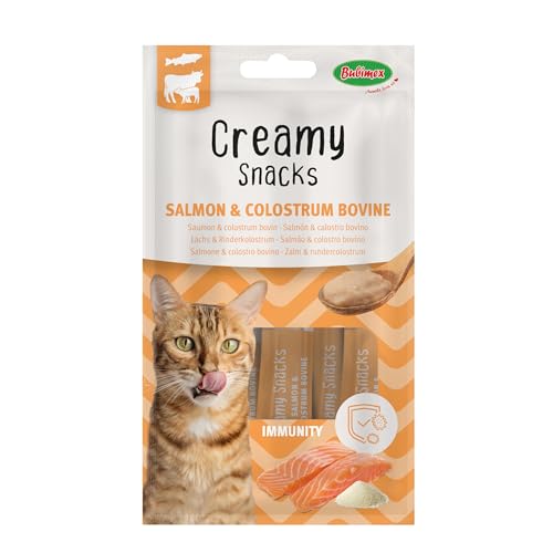 Bubimex - Creamy Snacks Lachs und Rinder-Kolostrumpulver – Leckereien für Katzen – Glatte Textur, cremig und appetitlich – Stimuliert den Appe und fördert die Flüssigkeitszufuhr – 4 x 15 g von Bubimex