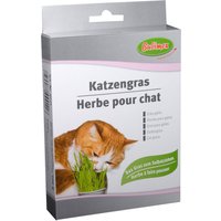 Bubimex Katzengras 100g von Bubimex