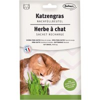 Bubimex Katzengras Nachfüllbeutel 100g von Bubimex