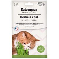 Bubimex Katzengras Nachfüllbeutel 100g von Bubimex