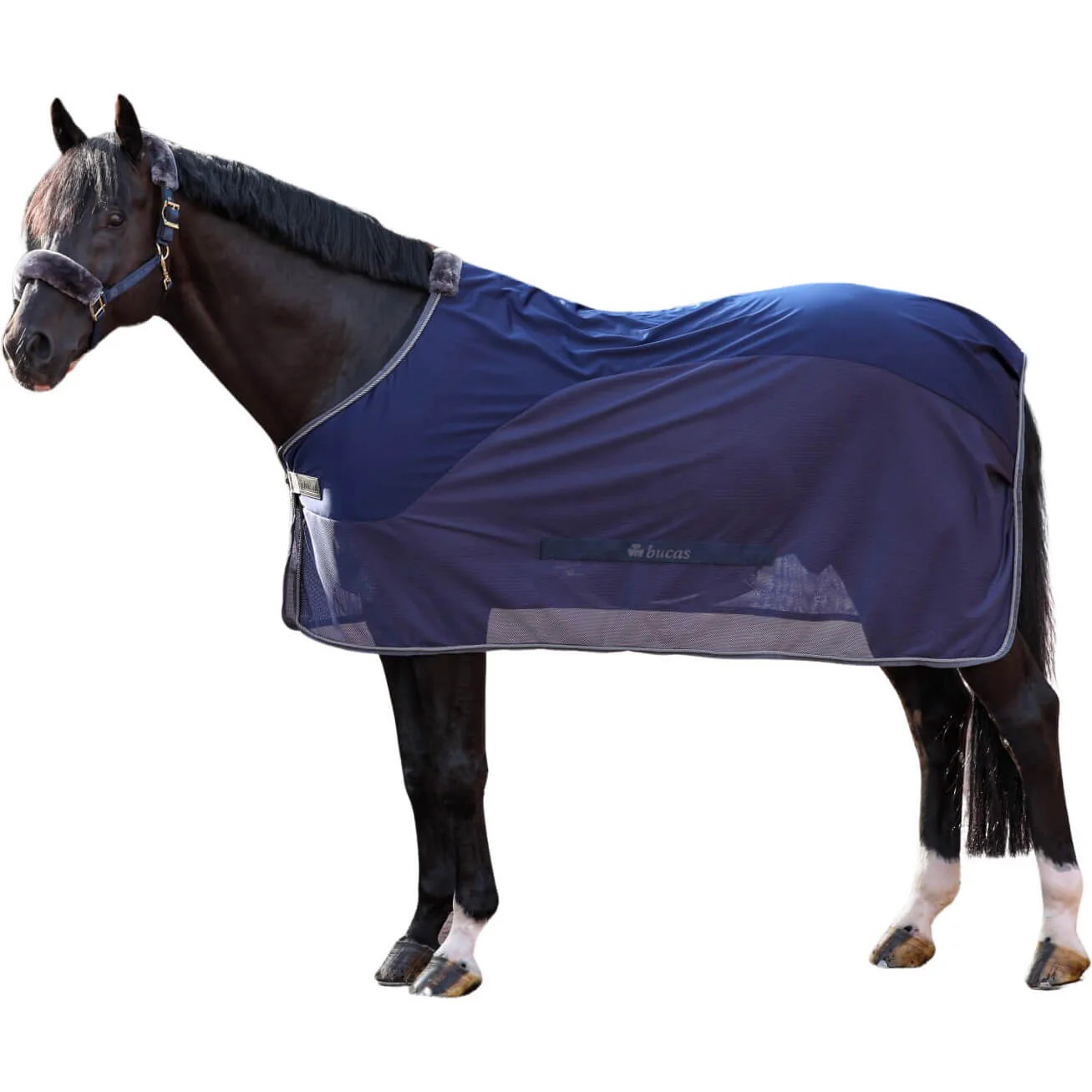 Bucas Abschwitzdecke Show Line Competition Cooler Navy/ Grey, Gr.155 cm Bucas Abschwitzdecke Show Line Competition Cooler Navy/ Grey, Gr.155 cm von Bucas