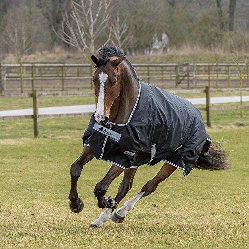 Bucas Anniversary Turnout Light - Black/Silver - Weidedecke - Regendecke, Größe (cm):115 cm von Bucas