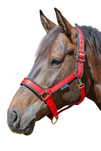 Bucas Comfort Halfter, Cob, red/Black von Bucas