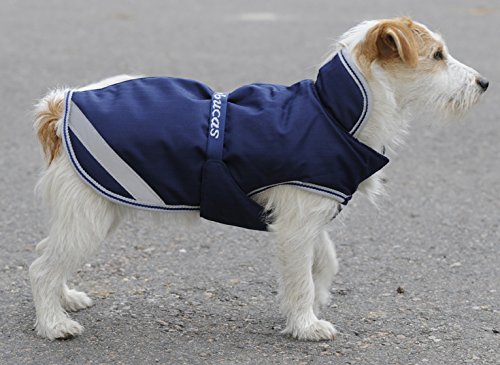 Bucas Freedom Hundedecke 30, navy von Bucas