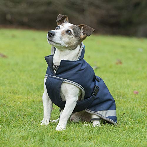 Bucas Freedom Hundedecke 40, navy von Bucas