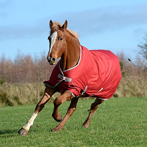 Bucas Freedom Turnout Pony 300g - Chilli Red von Bucas