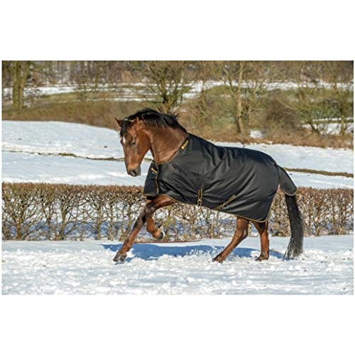 Bucas Winterdecke Extra 300g Füllung Irish Turnout Black/Gold 155cm + Hufkratzer Reiterladen24.de von Bucas