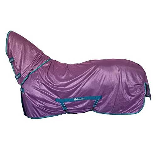 Freedom Fly Sheet F/N, 100, Violet/Green von Bucas