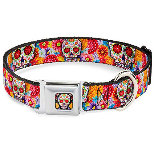 Buckle Down 22,9–38,1 cm Sugar Skull Starburst weiß/multi Farbe Hund Halsband von Buckle-Down