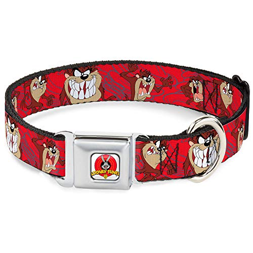 Buckle-Down 22,9–38,1 cm lta-Looney Melodien Logo weiß Hund Halsband von Buckle-Down