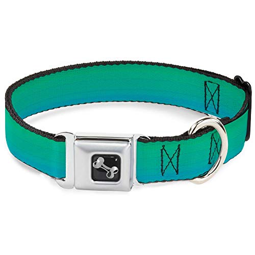 Buckle Down 27,9–43,2 cm Blaugrün Ombre Hundehalsband Bone, mittel von Buckle-Down