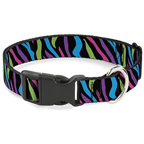 Buckle-Down Breakaway Katzenhalsband, Zebramuster, Schwarz/Blau/Grün/Pink/Violett von Buckle-Down