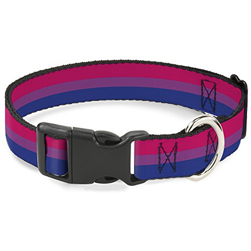 Buckle Down Flagge Bi/Pink/Violett/Blau Kunststoff Clip Halsband, 3,8 cm X 33–45,7 cm/klein von Buckle-Down