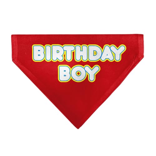 Buckle-Down Halstuch mit Aufschrift "Birthday Boy" in Rot, Gelb, Blau, Weiß von Buckle-Down