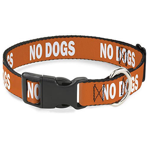 Buckle-Down Hundehalsband, Kunststoffclip, Zitat ohne Hunde, Orange / Weiß, 38,1 cm bis 66 cm, 2,5 cm breit von Buckle-Down