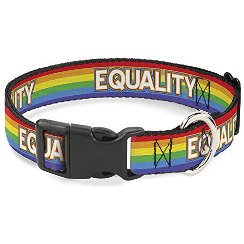 Buckle-Down Hundehalsband, Kunststoffclip, gestreift, Regenbogenfarben, 22,9 bis 38,1 cm, 2,5 cm breit von Buckle-Down