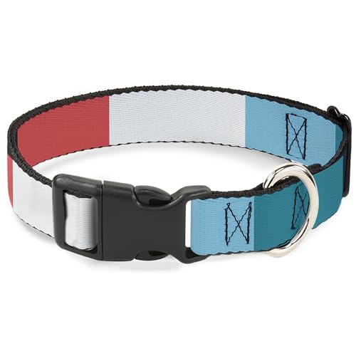 Buckle-Down Hundehalsband, Kunststoffschnalle, Summer Essentials Farbblock 4, 38,1 bis 61 cm, 2,5 cm breit von Buckle-Down