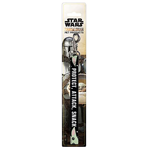 Buckle-Down Hundeleine Star Wars The Child Chibi Face Protect Attack Snack 122 cm lang 2,5 cm breit von Buckle-Down