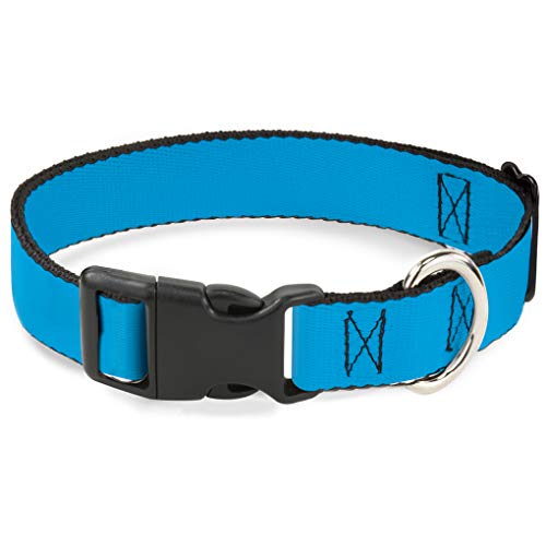 Buckle-Down bac-w31428-nl Breakaway Katzenhalsband, 1/5,1 cm breit – passt 22,9–38,1 cm Nacken – Groß, Neon Blau von Buckle-Down