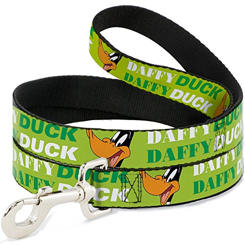 Buckle-down, Daffy Duck/W-/, Grün, 6er Pack (6 x 1/2 " von Buckle-Down