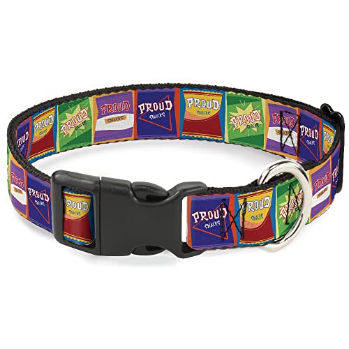 Disney Hundehalsband, Kunststoffschnalle, The Proud Family Proud Snacks, Logo-Blöcke, mehrfarbig, 24,1 bis 33 cm, 2,5 cm breit von Buckle-Down