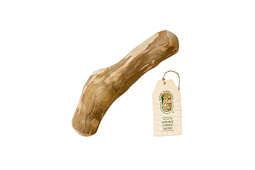 Buddy Wood Chew - Kaustab für Hunde – 100 % natürlich, ungiftig, haustiersicher, Haustiergeschenk (XL) von Buddy Wood Chew