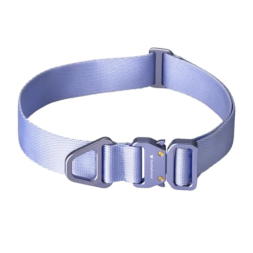 BuddyArmor Hundehalsband – strapazierfähig, aber leicht – verstellbares Nylon-Halsband mit Schnellverschluss-Aluminium-Metallschnalle, für mittelgroße und große Hunde von 15–100 kg, Blau (Medium) von BuddyArmor