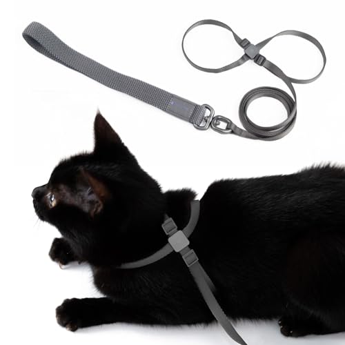 BuddyArmor Katzengeschirr und Leine, ausbruchsicher, Anti-Würgen, verstellbar, leicht, geeignet für Katzen jeden Alters, Grau (Space Grey) von BuddyArmor