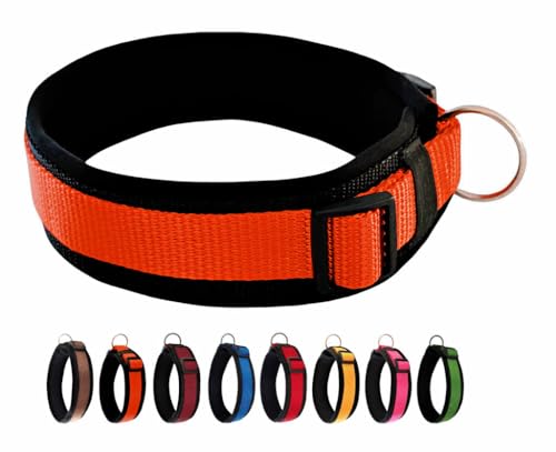 BUDDYPACK | Bequemes Hundehalsband | Extra-Breit mit Neopren-Polster | Für Kleine, Mittlere und Große Hunde | Größe XXS-3XL (M/L (47-52 cm), Rostorange auf Schwarz) von Buddypack