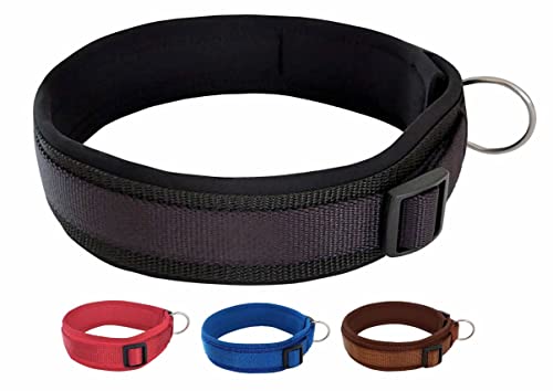 BUDDYPACK | Bequemes Hundehalsband | Extra-Breit mit Neopren-Polster | Für Kleine, Mittlere und Große Hunde | Größe XXS-3XL (M/L (47-52 cm), Schwarz) von Buddypack