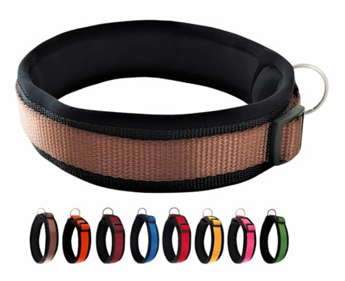 BUDDYPACK | Bequemes Hundehalsband | Extra-Breit mit Neopren-Polster | Für Kleine, Mittlere und Große Hunde | Größe XXS-3XL (M (44-49 cm), Braun auf Schwarz) von Buddypack