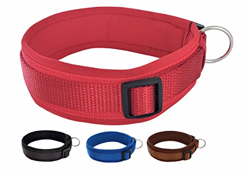 BUDDYPACK | Bequemes Hundehalsband | Extra-Breit mit Neopren-Polster | Für Kleine, Mittlere und Große Hunde | Größe XXS-3XL (S/M (41-46 cm), Rot) von Buddypack