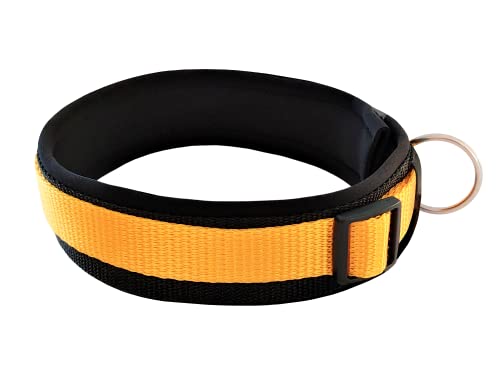 BUDDYPACK | Bequemes Hundehalsband | Extra-Breit mit Neopren-Polster | Für Kleine, Mittlere und Große Hunde | Größe XXS-3XL (S (38-43 cm), Gelb auf Schwarz) von Buddypack