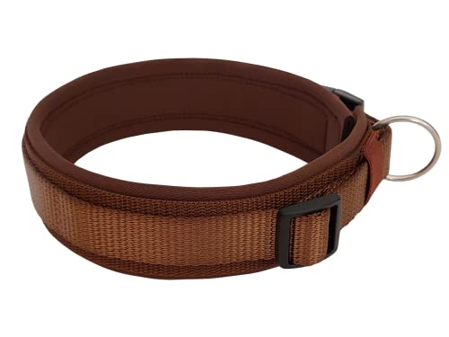 BUDDYPACK | Bequemes Hundehalsband | Extra-Breit mit Neopren-Polster | Für Kleine, Mittlere und Große Hunde | Größe XXS-3XL (S (38-43 cm), Schokobraun) von Buddypack