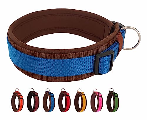 BUDDYPACK | Bequemes Hundehalsband | Extra-Breit mit Neopren-Polster | Für Kleine, Mittlere und Große Hunde | Größe XXS-3XL (XXL (59-64 cm), Blau auf Braun) von Buddypack