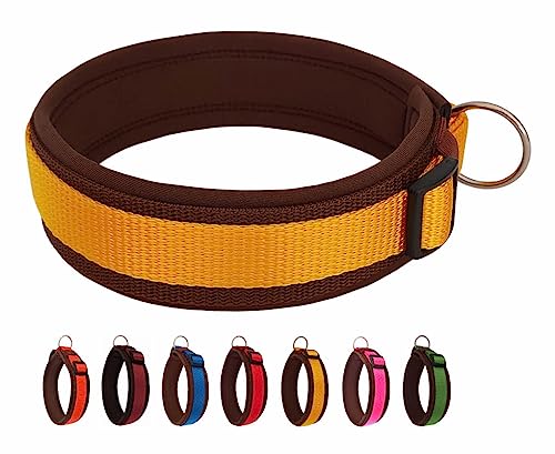 BUDDYPACK | Bequemes Hundehalsband | Extra-Breit mit Neopren-Polster | Für Kleine, Mittlere und Große Hunde | Größe XXS-3XL (XXXL (62-67 cm), Gelb auf Braun) von Buddypack