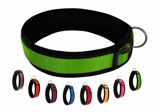 BUDDYPACK | Bequemes Hundehalsband | Extra-Breit mit Neopren-Polster | Für Kleine, Mittlere und Große Hunde (L/XL (53-58 cm), Grün auf Schwarz) von Buddypack