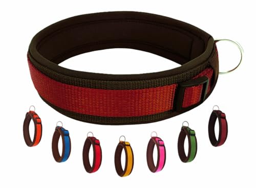 BUDDYPACK | Bequemes Hundehalsband | Extra-Breit mit Neopren-Polster | Für Kleine, Mittlere und Große Hunde (L (50-55 cm), Weinrot auf Braun) von Buddypack