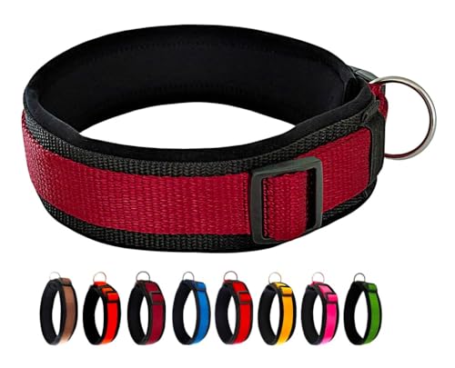 BUDDYPACK | Bequemes Hundehalsband | Extra-Breit mit Neopren-Polster | Für Minis bis Riesen | Größe XXS-3XL (M (44-49 cm), Weinrot auf Schwarz) von Buddypack