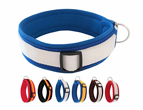 BUDDYPACK | Exklusives Hundehalsband Extra-Breit und Weich mit Neopren-Polster | Größe XXS-3XL | Verstellbar (XXXL (62-67 cm), Blau-Weiß) von Buddypack