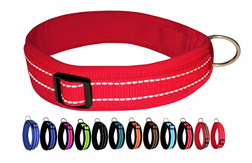 BUDDYPACK | Extra-Breites Hundehalsband mit Reflektorstreifen | Weiches Neopren-Polster | Größe XXS-3XL Verstellbar (L/XL (53-58 cm), Rot auf Rot) von Buddypack