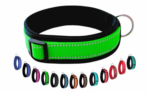 BUDDYPACK | Extra-Breites Hundehalsband mit Reflektorstreifen | Weiches Neopren-Polster | Verstellbar (M (44-49 cm), Limone auf Schwarz) von Buddypack