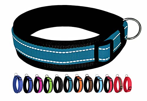 BUDDYPACK | Extra-Breites Hundehalsband mit Reflektorstreifen | Weiches Neopren-Polster | Größe XXS-3XL Verstellbar (M (44-49 cm), Petrol auf Schwarz) von Buddypack