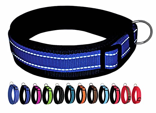 BUDDYPACK | Extra-Breites Hundehalsband mit Reflektorstreifen | Weiches Neopren-Polster | Größe XXS-3XL Verstellbar (M (44-49 cm), Royalblau-Schwarz) von Buddypack