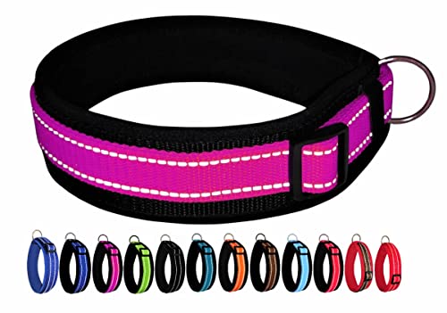 BUDDYPACK | Extra-Breites Hundehalsband mit Reflektorstreifen | Weiches Neopren-Polster | Größe XXS-3XL Verstellbar (XS/S (35-40 cm), Pink-Schwarz) von Buddypack