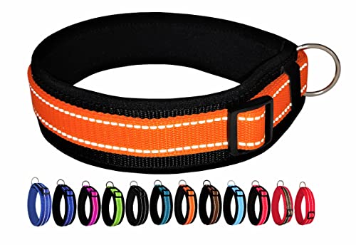 BUDDYPACK | Extra-Breites Hundehalsband mit Reflektorstreifen | Weiches Neopren-Polster | Größe XXS-3XL Verstellbar (XS (32-37 cm), Orange auf Schwarz) von Buddypack