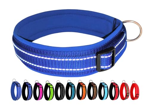 BUDDYPACK | Extra-Breites Hundehalsband mit Reflektorstreifen | Weiches Neopren-Polster | Größe XXS-3XL Verstellbar (XXS (29-34 cm), Blau auf Blau) von Buddypack