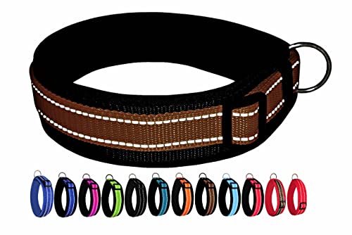 BUDDYPACK | Extra-Breites Hundehalsband mit Reflektorstreifen | Weiches Neopren-Polster | Größe XXS-3XL Verstellbar (XXXL (62-67 cm), Braun auf Schwarz) von Buddypack