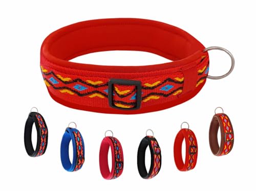 BUDDYPACK | Hundehalsband Extra-Breit und Weich Gepolstert | Für Kleine, Mittlere und Große Hunde | Bunt (Rot-Gelb-Blau-Schwarz, XL (56-61 cm)) von Buddypack