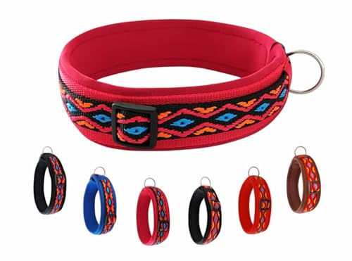 BUDDYPACK | Hundehalsband Extra-Breit und Weich Gepolstert | Für Kleine, Mittlere und Große Hunde | Bunt (Schwarz-Orange-Rot-Blau, S/M (41-46 cm)) von Buddypack